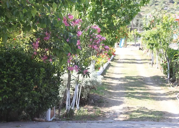 Elly's * Mesudiye (Datca)