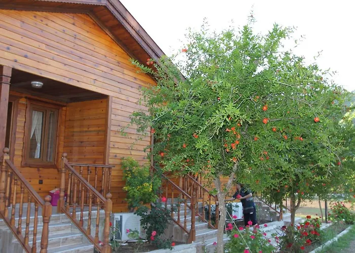 Elly's Homestay Mesudiye (Datca)