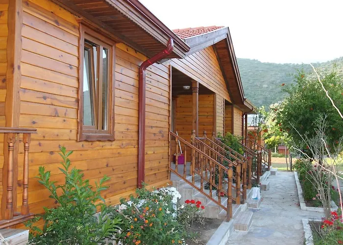 Elly's ميسوديه