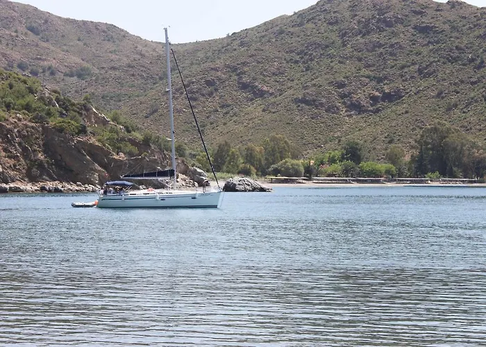 Elly's * ميسوديه