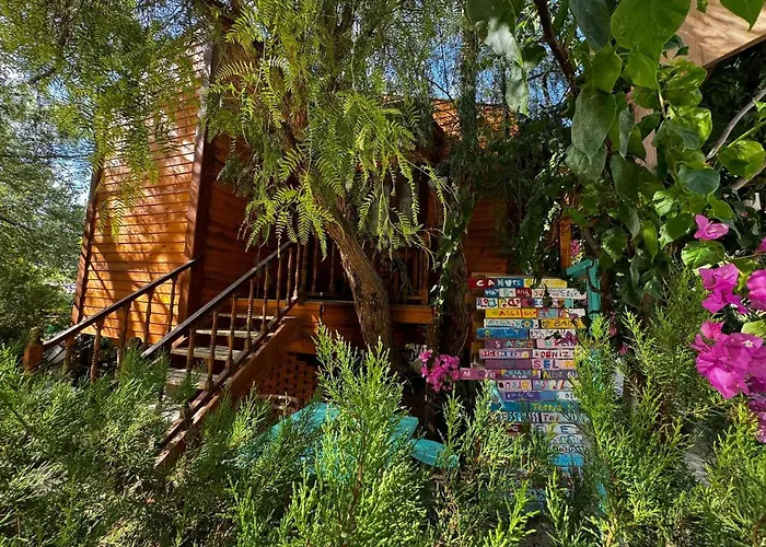 Elly's * ميسوديه