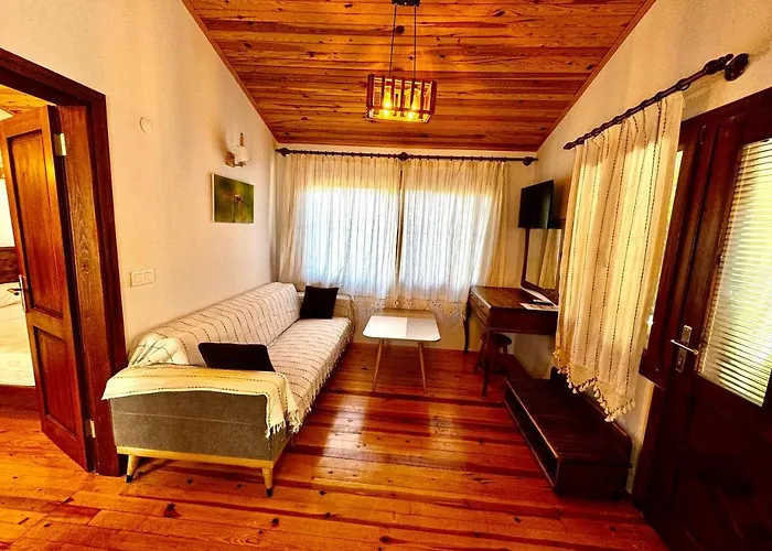 Elly's * ميسوديه