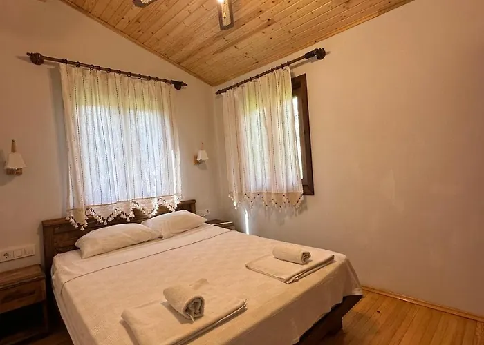 Elly's ميسوديه