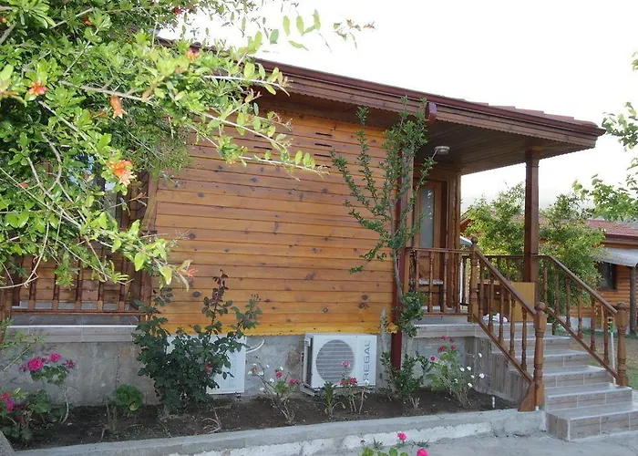 Elly's * ميسوديه