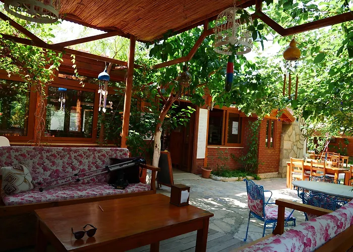 Elly's ميسوديه